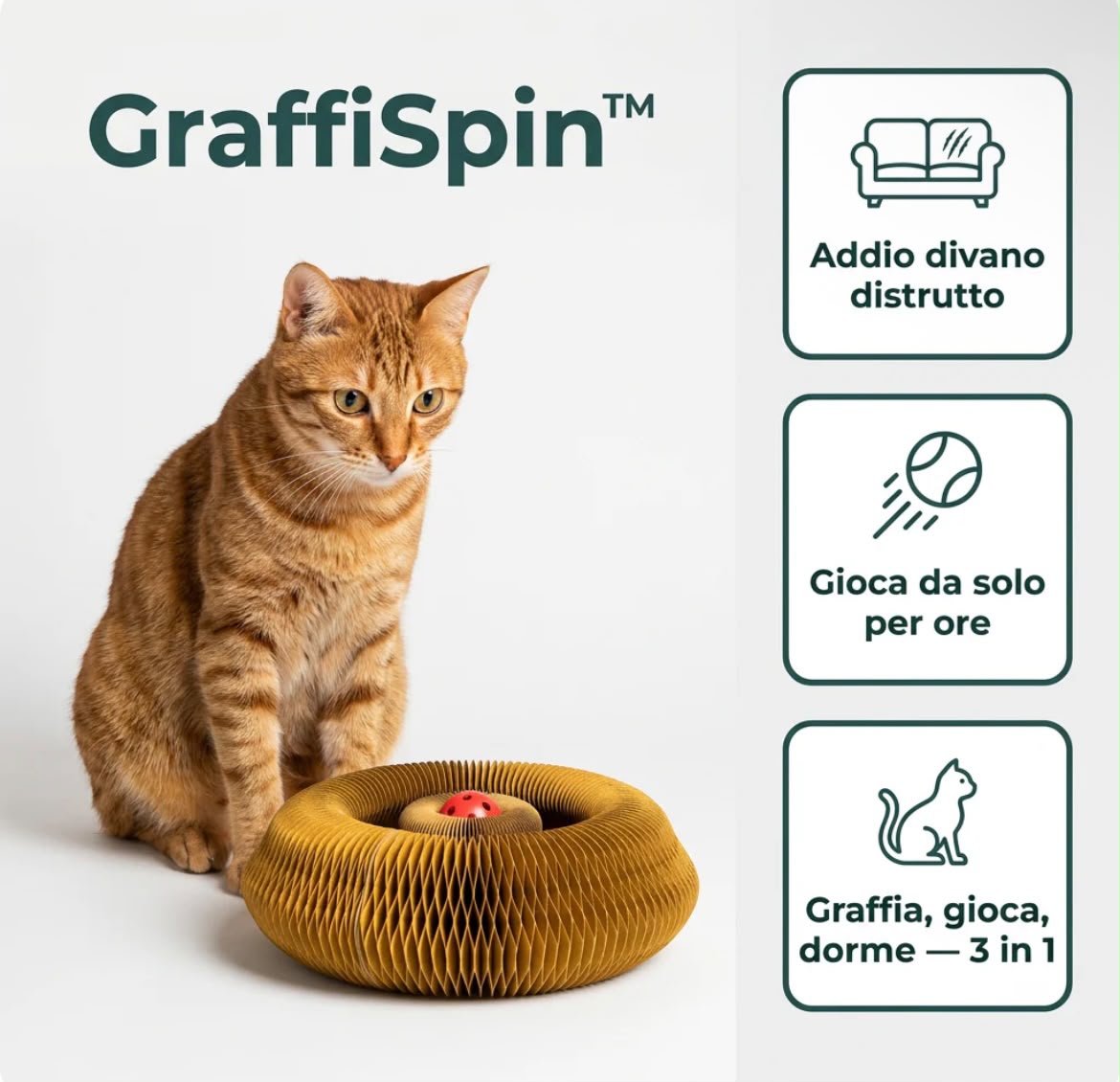 Graffia, Gioca, Dorme - Tutto in Uno di Tender Paws