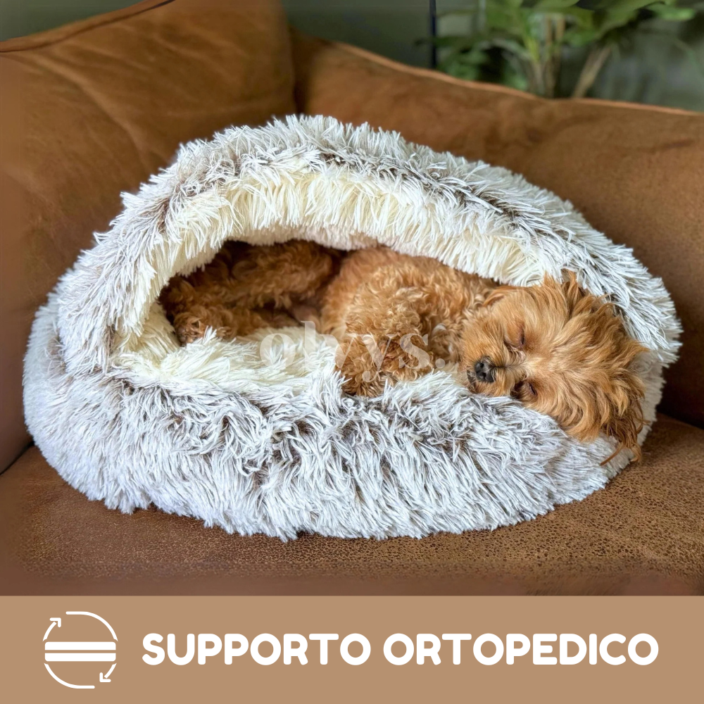 Cuccia Ortopedica Imbottita
