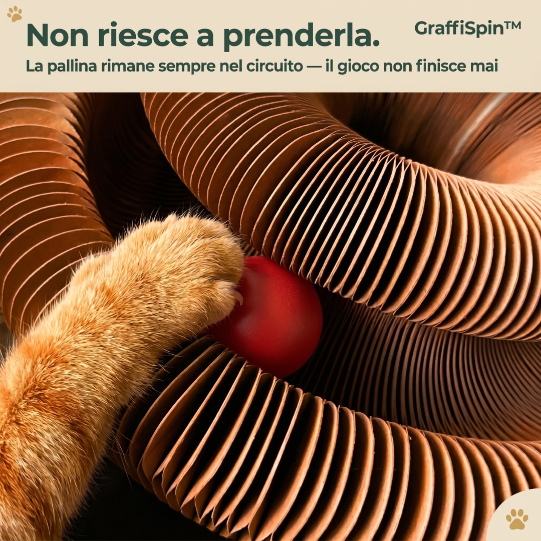 Graffia, Gioca, Dorme - Tutto in Uno di Tender Paws