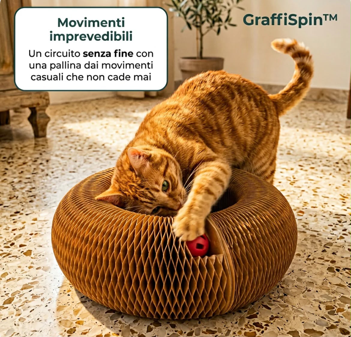 Graffia, Gioca, Dorme - Tutto in Uno di Tender Paws